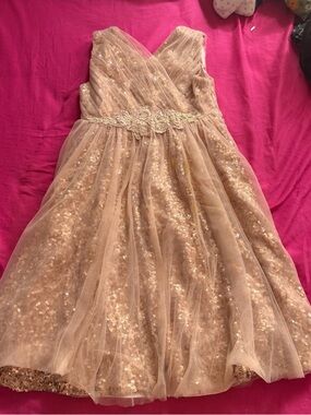 Monsoon Champagne Sequin Tulle Party Dress